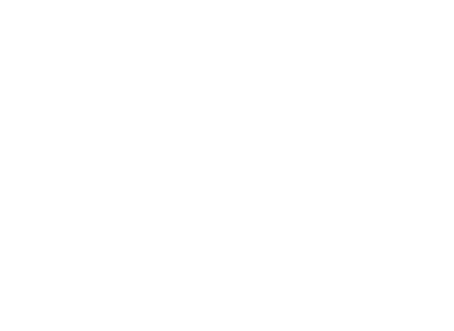 border-top-left